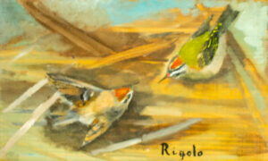 Camera Rigolo