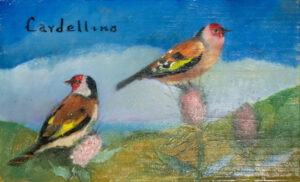 Camera Cardellino